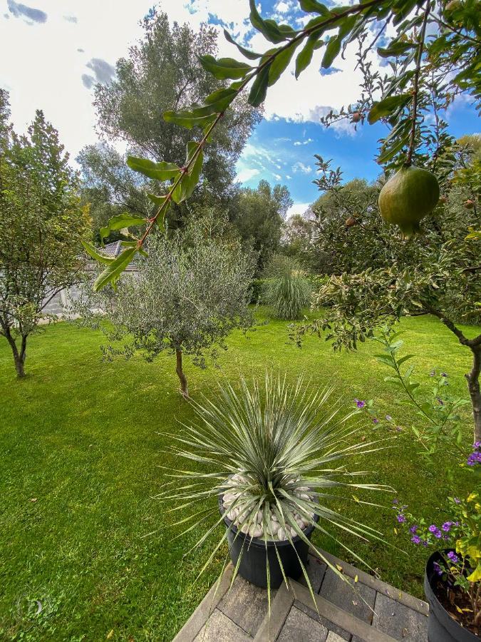 Villa D Blagaj Εξωτερικό φωτογραφία