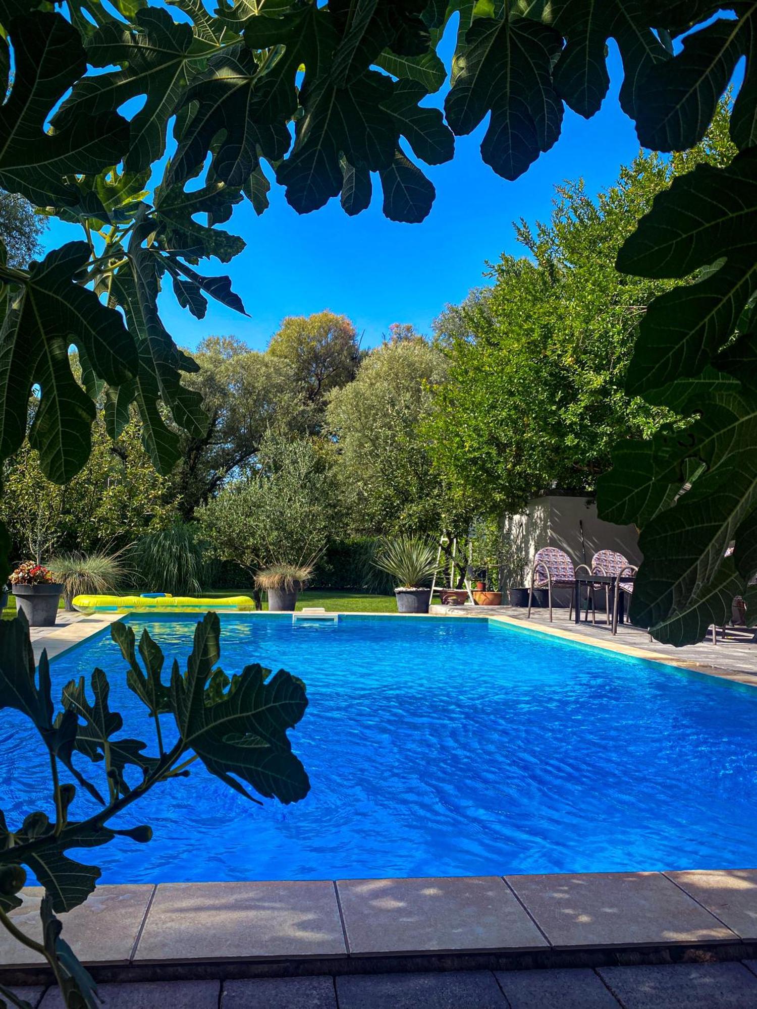 Villa D Blagaj Εξωτερικό φωτογραφία